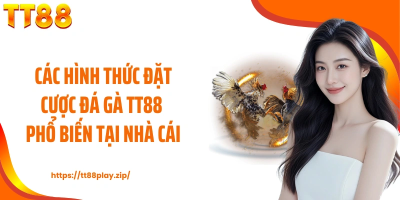 Các hình thức đặt cược đá gà TT88 phổ biến tại nhà cái