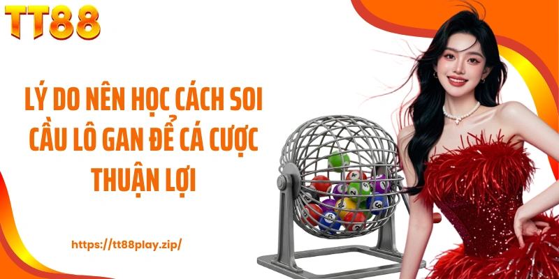 Lý do nên học cách soi cầu lô gan để cá cược thuận lợi