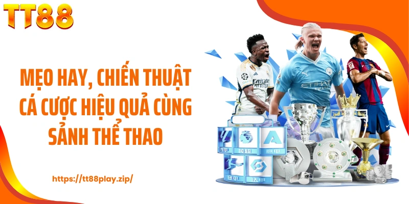 Mẹo hay, chiến thuật cá cược hiệu quả cùng sảnh thể thao